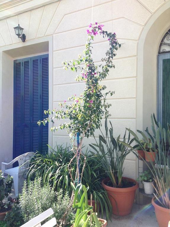 Casa Fornaciari Bed & Breakfast Viareggio Exterior foto